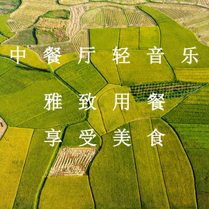 国产无码三级视频在线观看
